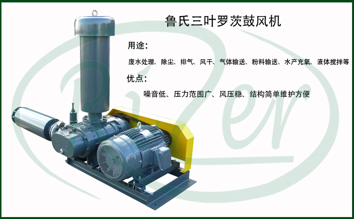 1-21092315492N30.jpg