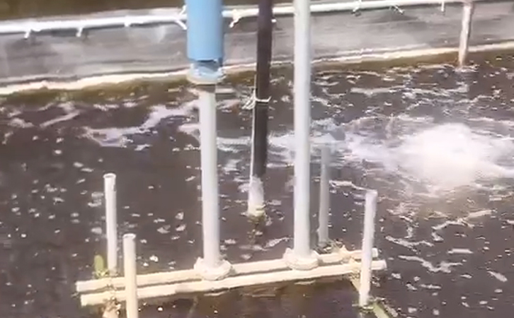 城市污水處理工藝 城市污水處理工藝
