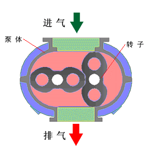 二葉羅茨鼓風(fēng)機(jī)動(dòng)畫原理