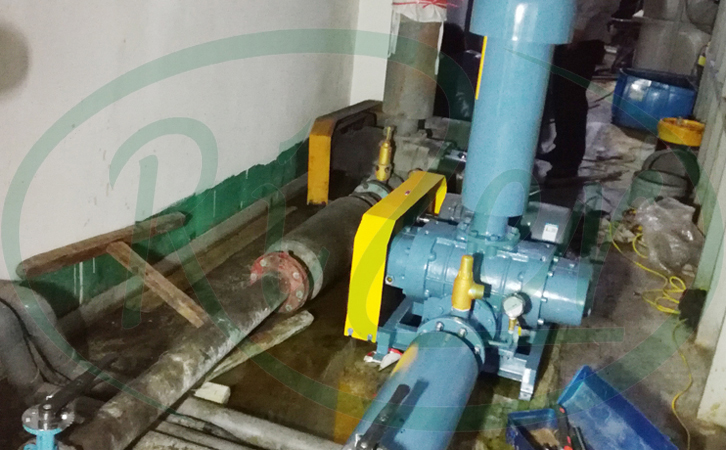某掛鍍廠采購的我廠的羅茨鼓風機 某掛鍍廠采購的我廠的羅茨鼓風機