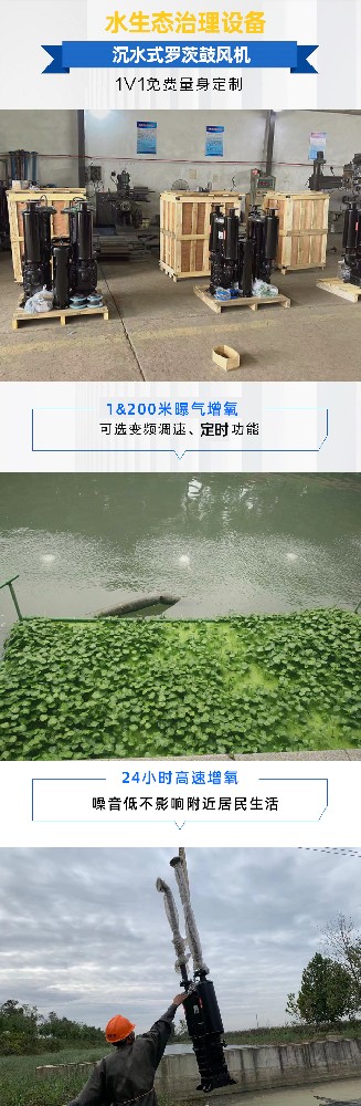 1692955688440888.jpg